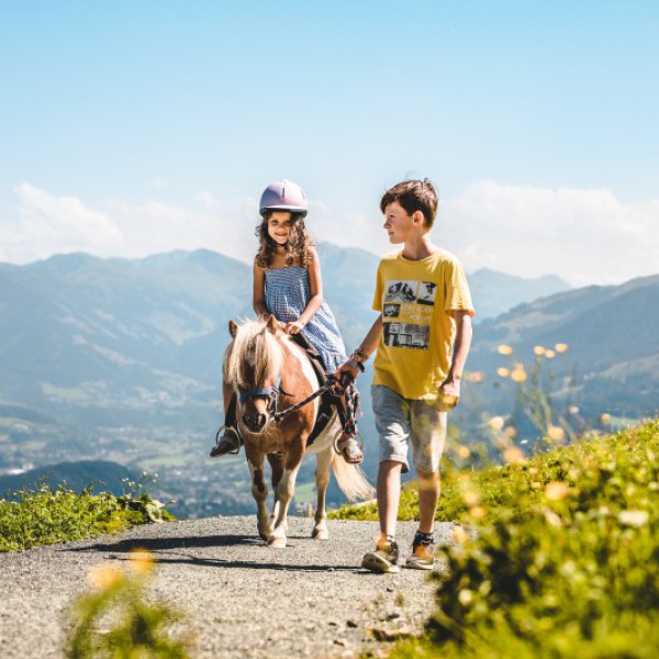 Kinderen met een paard