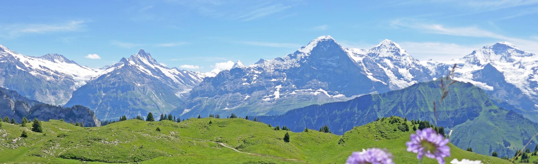 alpenweide